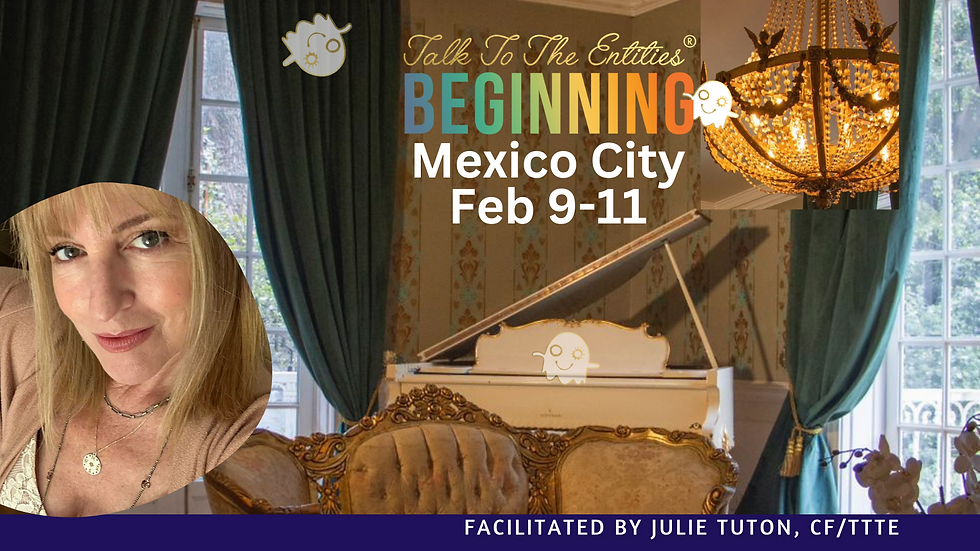 TTTE Beginning - Mexico Feb 2024