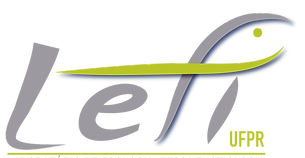 LOGO_LEPI_VERDE_CINZA_SEMFUNDO.png