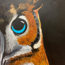 Night Owl Canvas