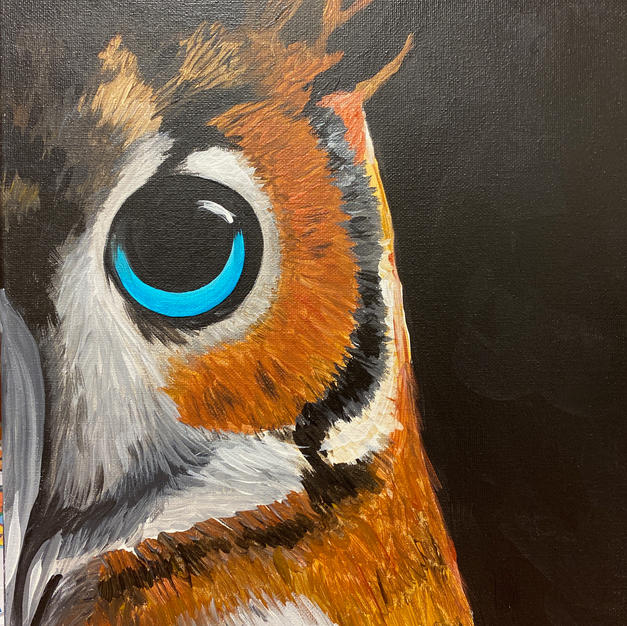 Night Owl Canvas