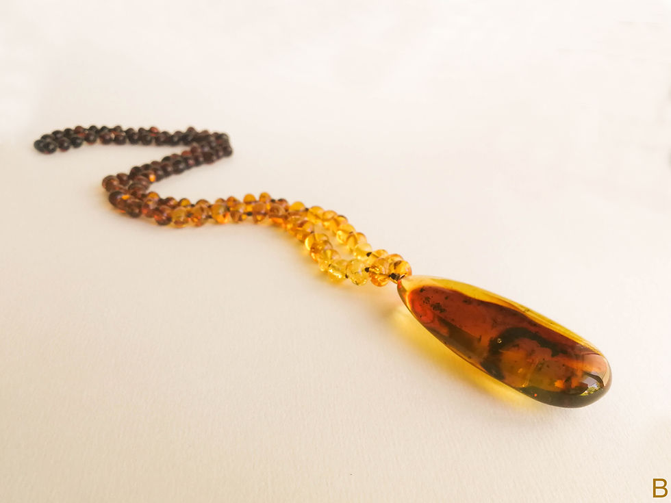 Thumbnail: Natural amber rainbow style necklace with cognac color pendant with insects