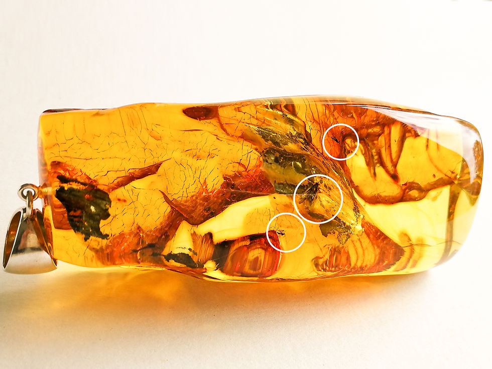 Thumbnail: Exclusive 64 g rectangle shape amber pendant with mosquitoes inside