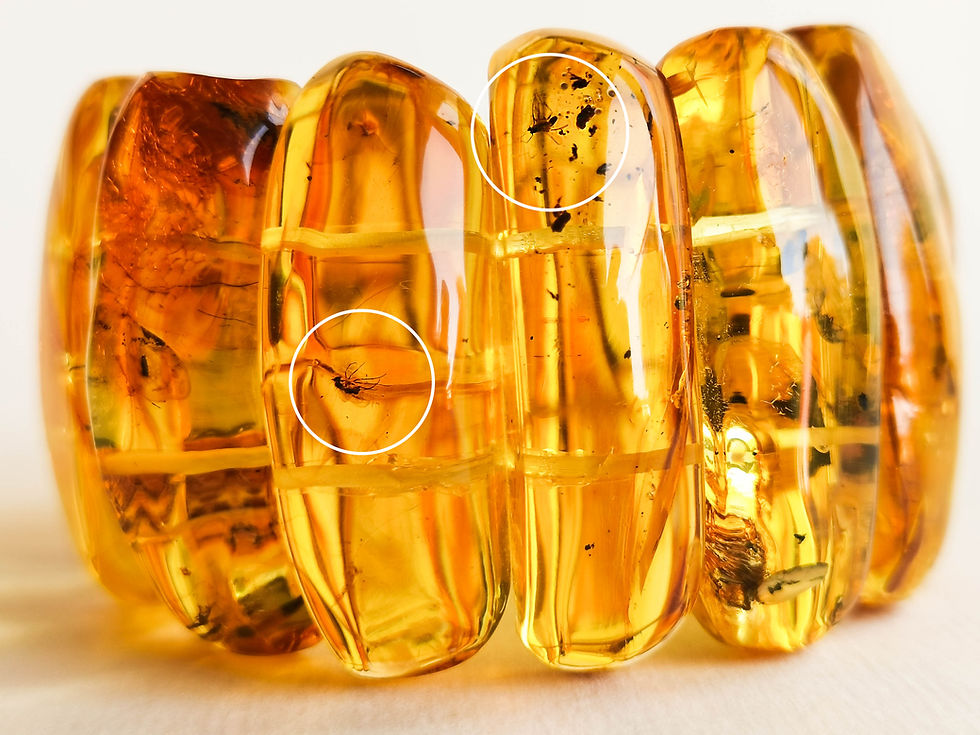 Thumbnail: Large Baltic amber cognac color cuff bracelet with insects