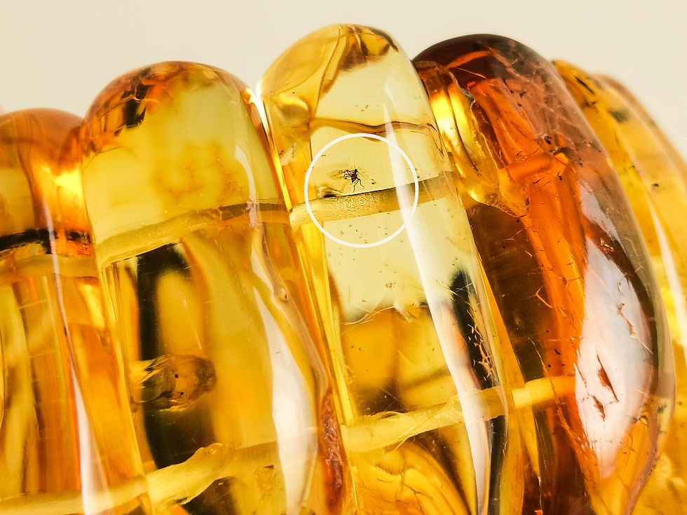 Thumbnail: Very large lemon & cognac natural Baltic amber bracelet with insects