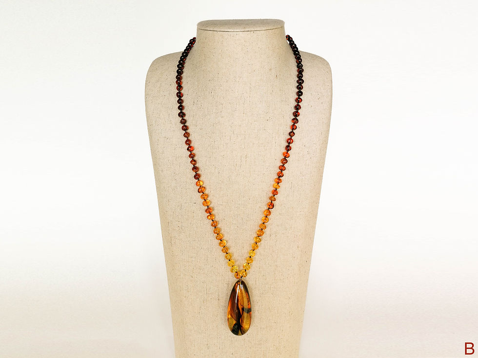 Thumbnail: Natural amber rainbow style necklace with cognac color pendant with insects
