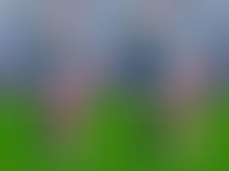 Brothers & Sisters pose 06