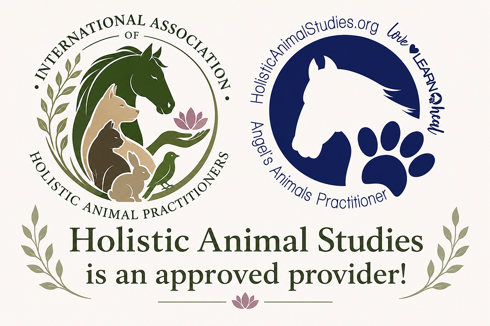 Holistic Animal Studies is Now an Approved Educational Provider Through IAHAP