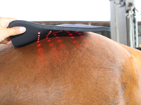 The Benefits of Adding Red Light Therapy Pads to your Practice