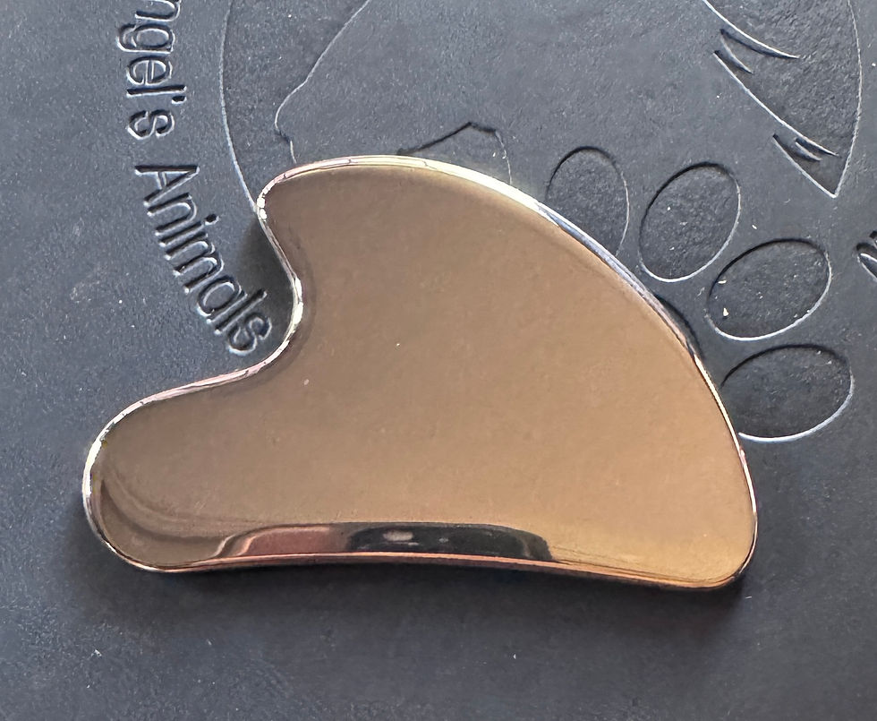Thumbnail: Gua Sha Tool