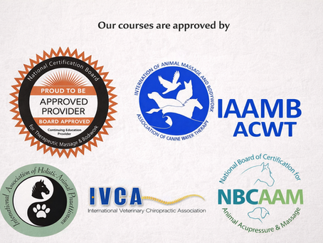 CE Courses for Animal Massage Therapists