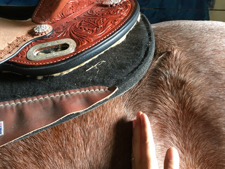 Are you sure your horse's saddle fits correctly?