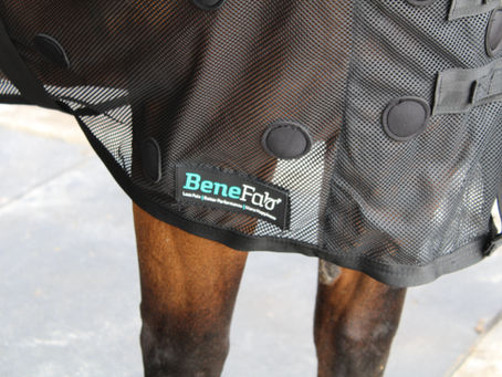 How to Incorporate BeneFab Products into your Bodywork Practice