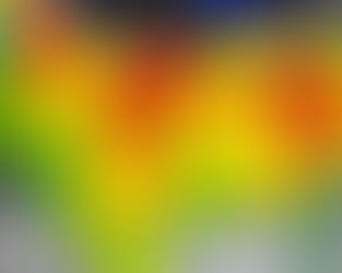 Exploring Thermography in Animal Wellness: A Glimpse Into the Future of Holistic Care