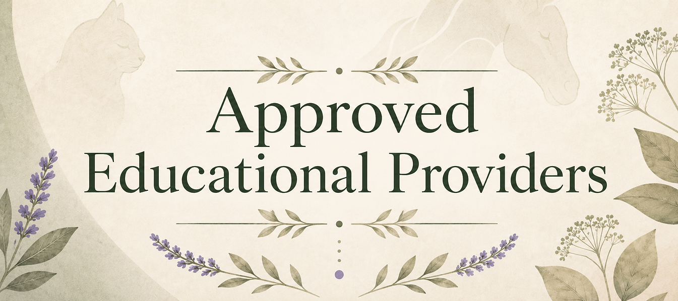 Approved Educaitonal Providers banner.png