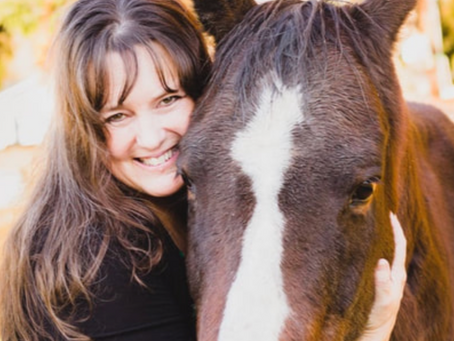 What is Animal Communication?