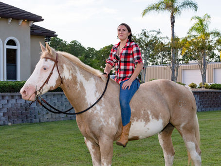 How to Create a Willing Equine Partner