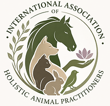 New Logo 1.png