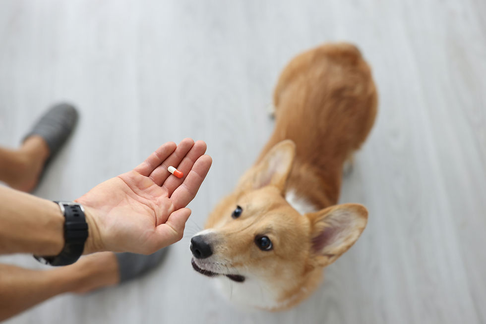 ree