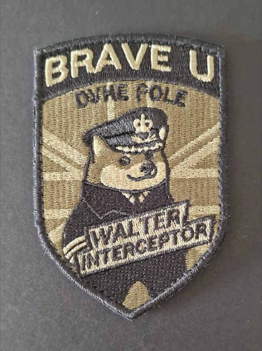 Walter Interceptor Patch — BRAVE U Fund artifact