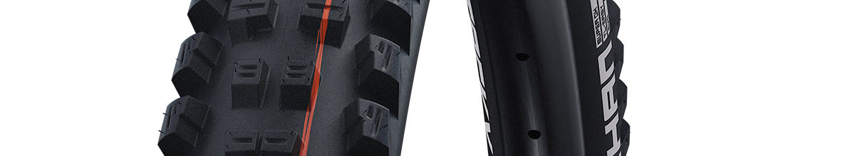 Schwalbe Tacky Chan Super Gravity Soft Evolution Tyre 29 x 2.40" (Fold)