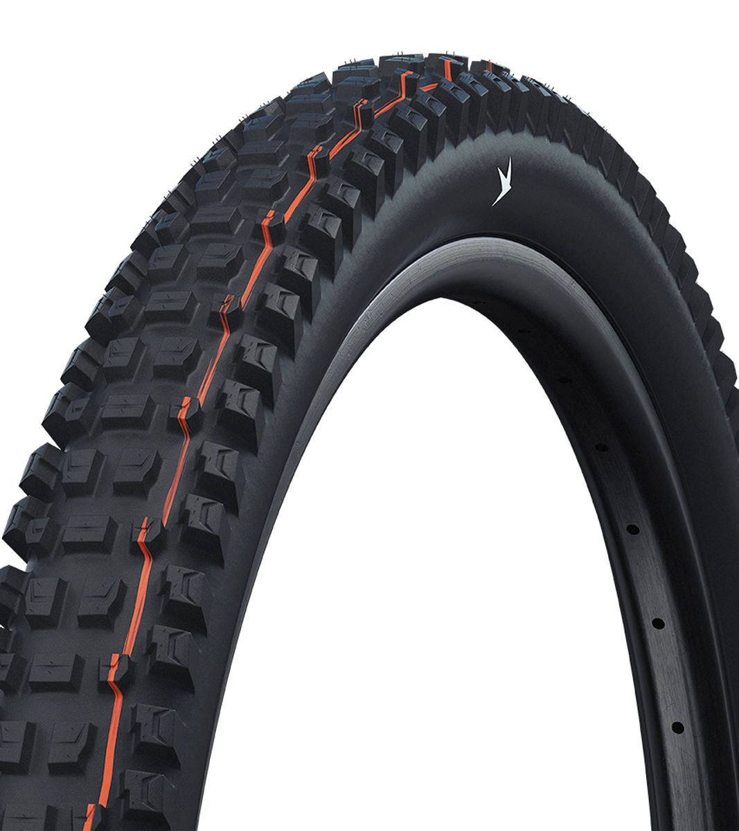 Schwalbe Albert Gravity Pro Radial Soft MTB Tyre in Black (Fold)