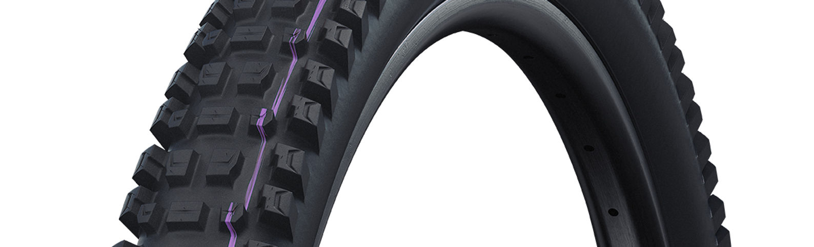 Schwalbe Albert Gravity Pro Radial Ultra Soft MTB Tyre in Black (Fold)