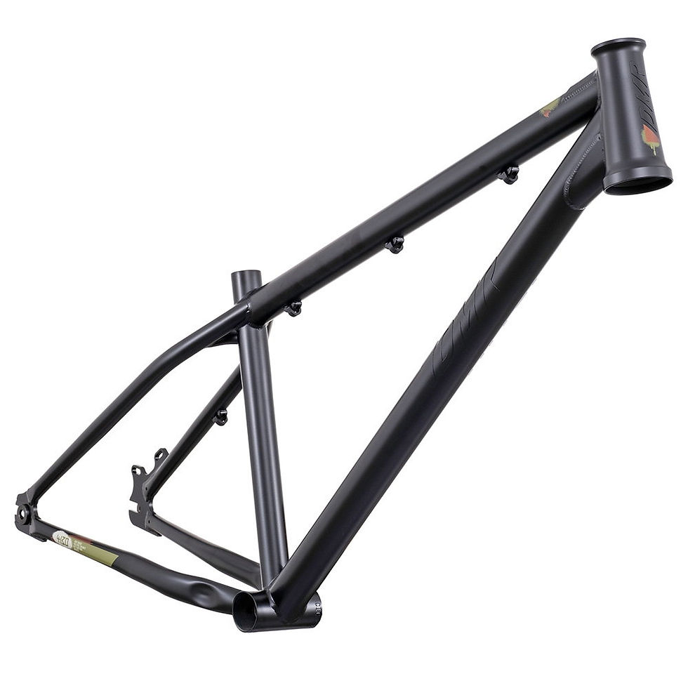 Thumbnail: DMR Frame Sect 26 Custom