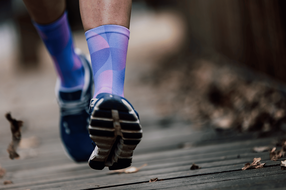 Thumbnail: Sox Footwear Solid Purple Premium Crew Socks