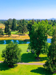 DJI_0347.jpg