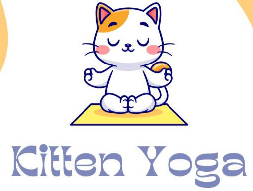 Kitten Yoga
