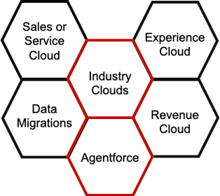 6 Types of Project Work arrayed in figured shapes denoting project work: Sales and Service Cloud, Industry Clouds, etc.