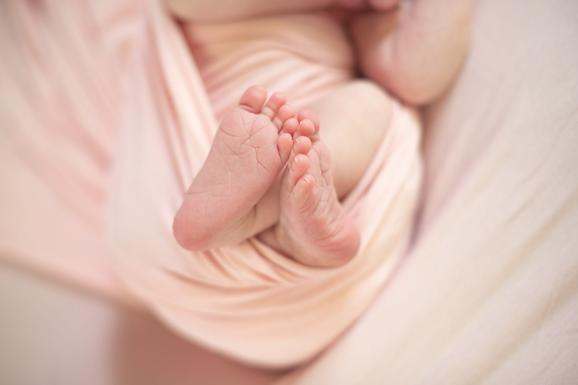 Newborn, newborn photographer, photography, studio, session, pink, bow, head band, tie back, newborn posing, newborn wrapping, brown hair, curly hair, portrait, toes, feet 