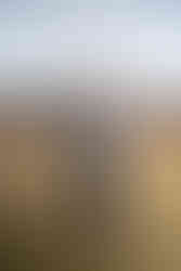 Family photography, lexington VA, Boxerwood nature center, family mini session, winter, outdoors, siblings, baby, mom and dad