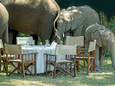 When Overthinking Meets Self-Sabotage (and You Just Want to Stay in Bed)