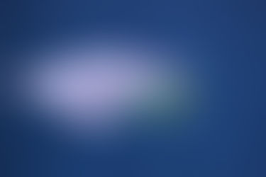 טריגון כד אף