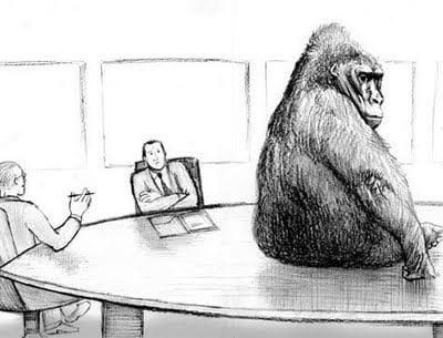Litigation Funding and The Invisible Gorilla Blog Article