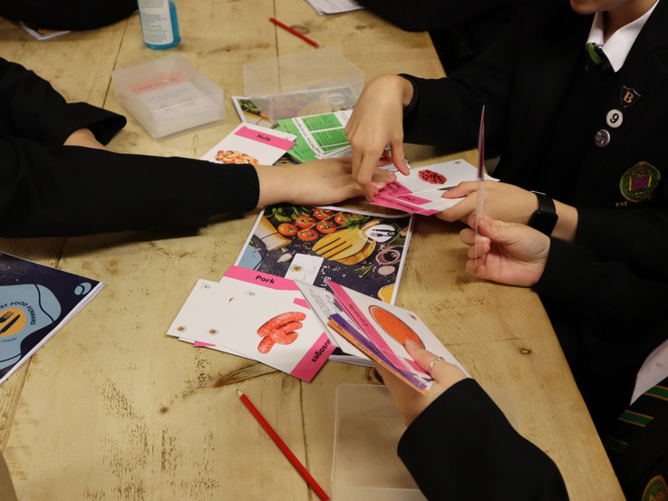 Food cards school education