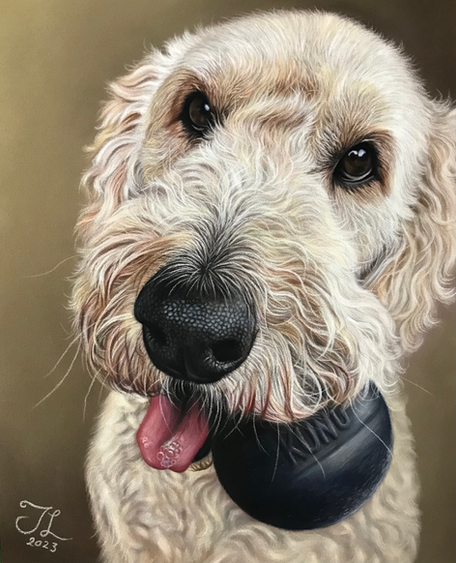 Lifelike pastel pet portrait of a Labradoodle dog by Heartwork by Jasmine 