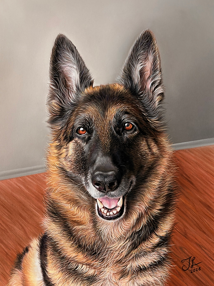 Custom commission pastel portrait of a German Shepherd, hand-drawn in realistic detail by Heartwork by Jasmine