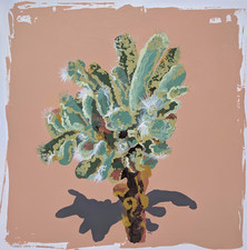 Thankful Cholla