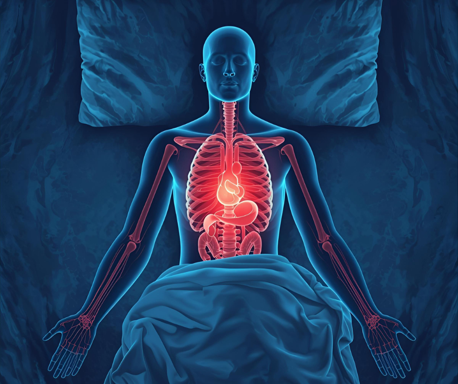 An anatomical version of the body sleeping and the organs that are repaired while sleeping are highlighted