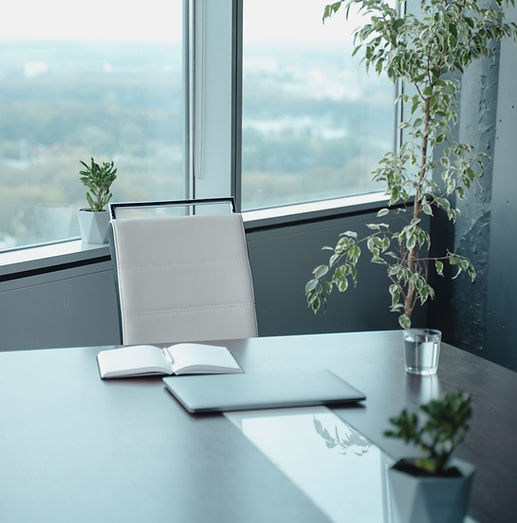 Executive Leadership Coaching