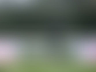 Great first day at Bowood Test