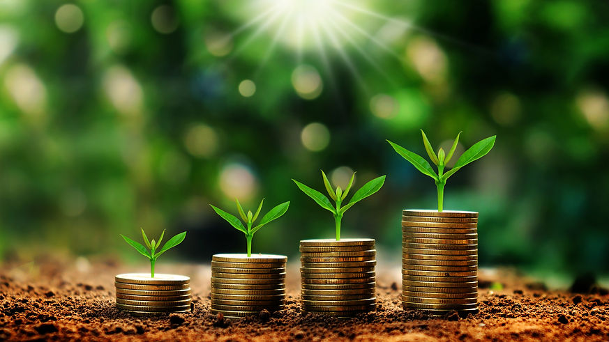 Growing plants on coins stacked on green blurred backgrounds and natural light with financ