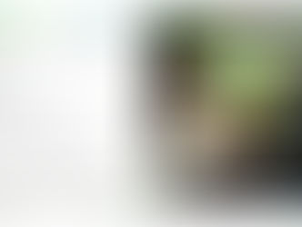 Pass Bonne conduite pour les 18-25 ans !