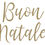 Thumbnail: Buon Natale Vinyl Glass Sticker
