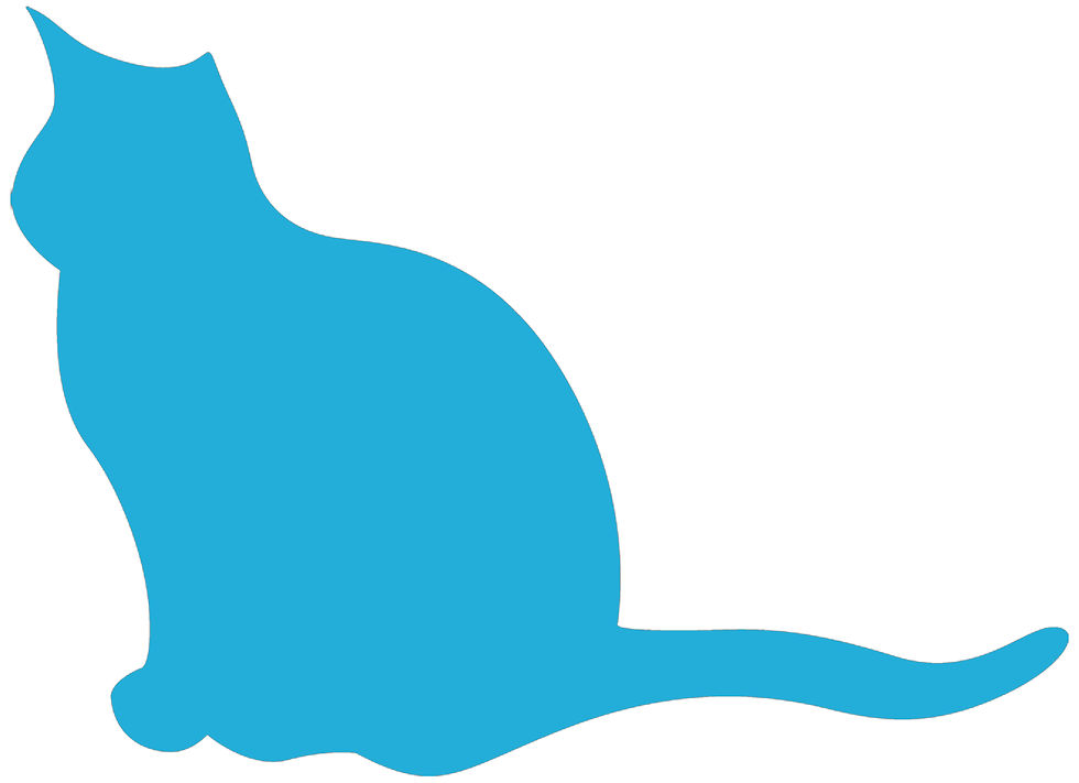 Thumbnail: Large Cat