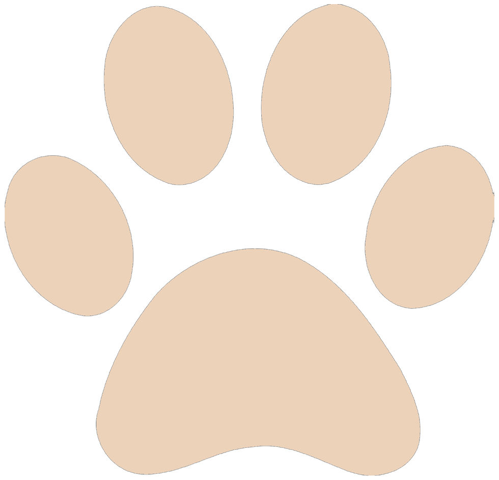 Thumbnail: Large Paw Print