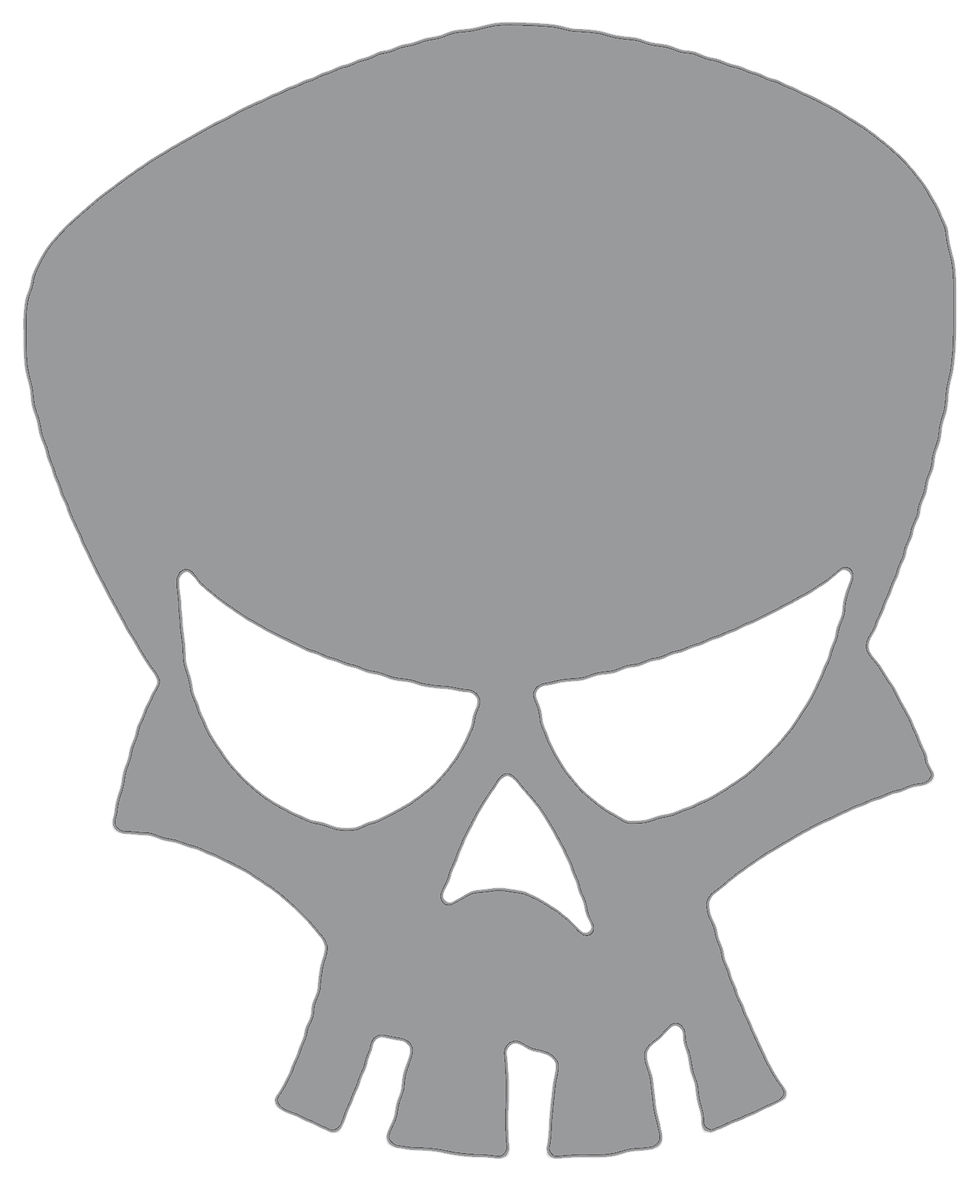 Thumbnail: Large Skull