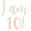 Thumbnail: I am 10! Birthday Vinyl Sticker